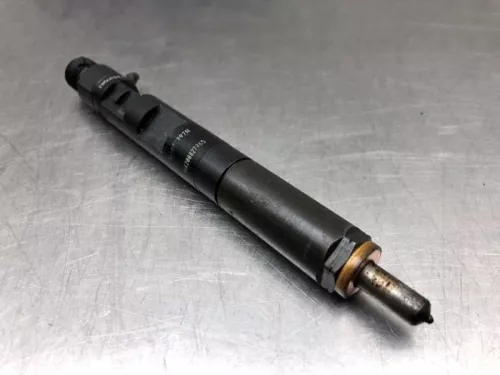 Verstuiver (diesel)-8174415 (20495609)
