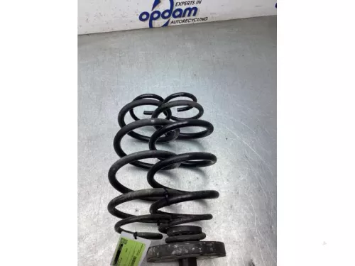 Schroefveer achter-8331712