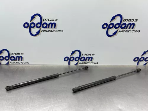 Set Gasdempers Achterklep-8259267