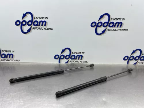 Set Gasdempers Achterklep-8334387