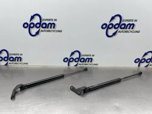 Set Gasdempers Achterklep-8306813