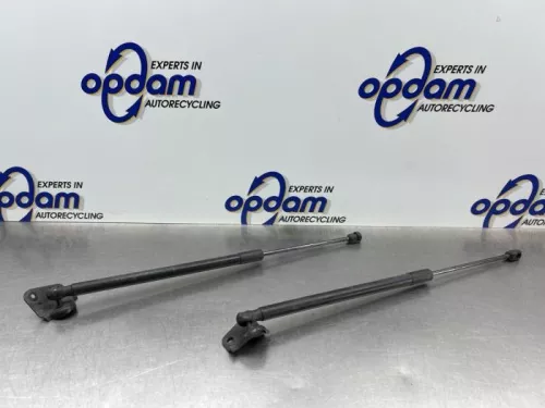 Set Gasdempers Achterklep-8264708