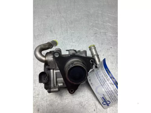 EGR Klep-