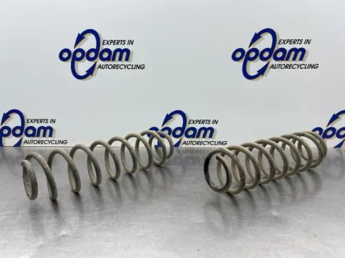 Schroefveer achter-8049452