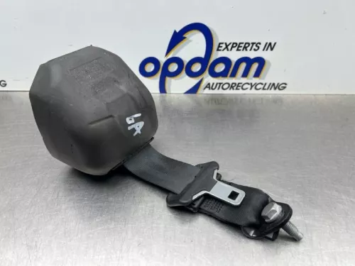 Veiligheidsgordel links-achter-8187513