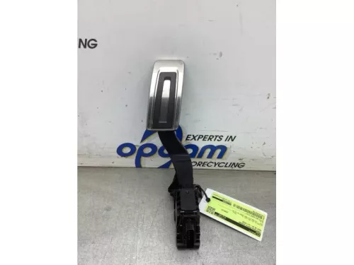 Gaspedaalpositie Sensor-8247887