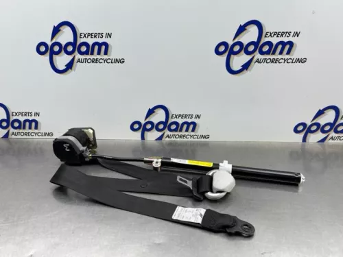 Veiligheidsgordel links-voor-8317289 Veiligheidsgordel links-voor-8317289