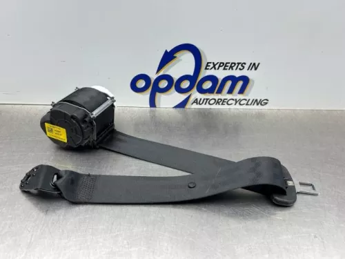 Veiligheidsgordel links-achter-8049452