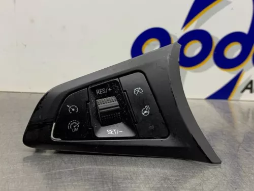 Cruise Control Bediening-8347940