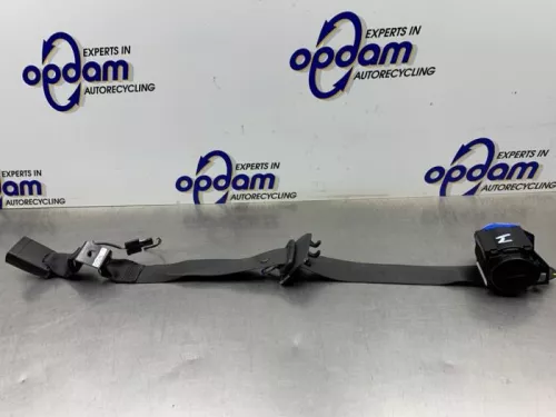 Veiligheidsgordel midden-achter-8347940