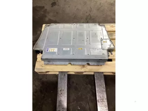 Accu (Hybride)-8140546