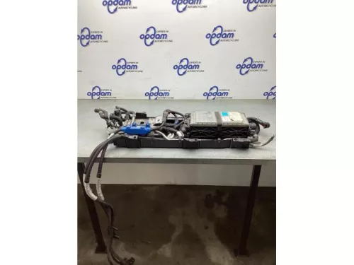 Accu (Hybride)-8202418 (21269524)