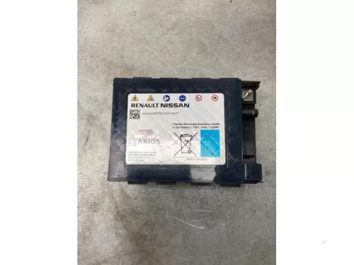 Accu (Hybride)-8058938 (21451074)