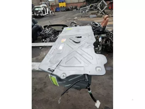 Accu (Hybride)-8186930 (22542547)