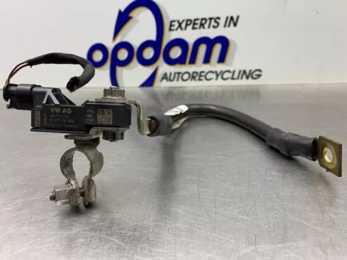 Accu sensor-8250005 (21502220)