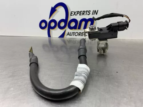 Accu sensor-8250005 (21502220)