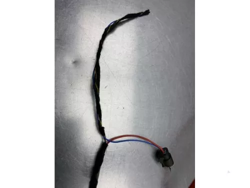 Accu sensor-8169282 (21593562)