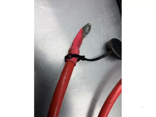 Accu sensor-8169282 (21593562)