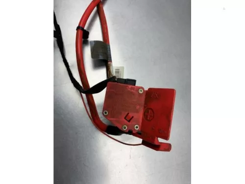 Accu sensor-8169282 (21593562)