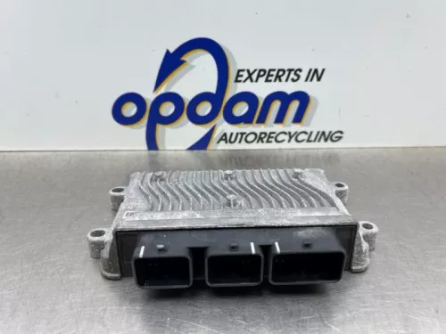 Computer Motormanagement-8173843