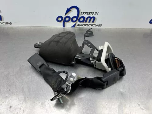 Veiligheidsgordel midden-achter-8260559