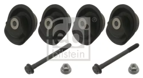 Lagerset aslichaam