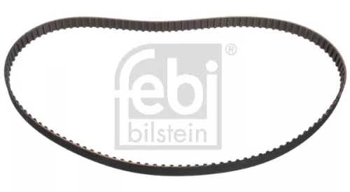 tandriem