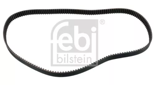 tandriem