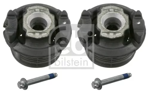 Lagerset aslichaam