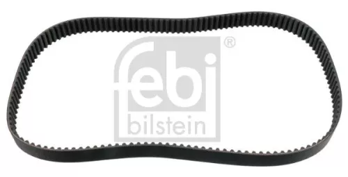 tandriem