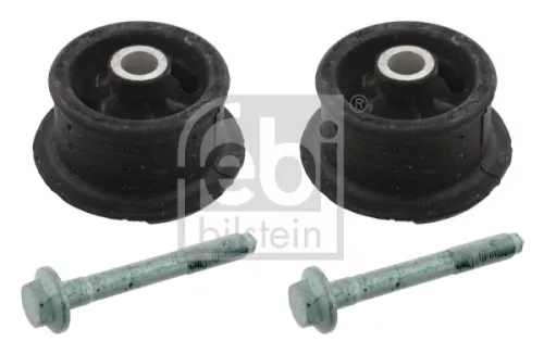 Lagerset aslichaam
