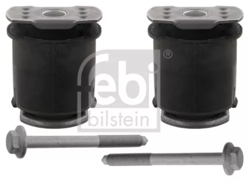 Lagerset aslichaam