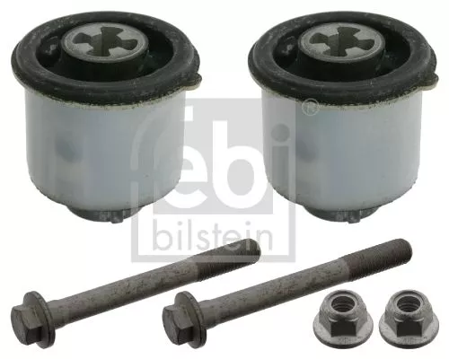 Lagerset aslichaam