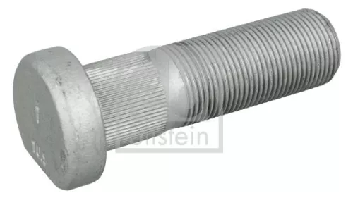 wielbout