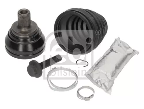 Homokineetset