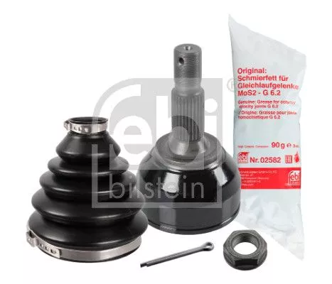 Homokineetset