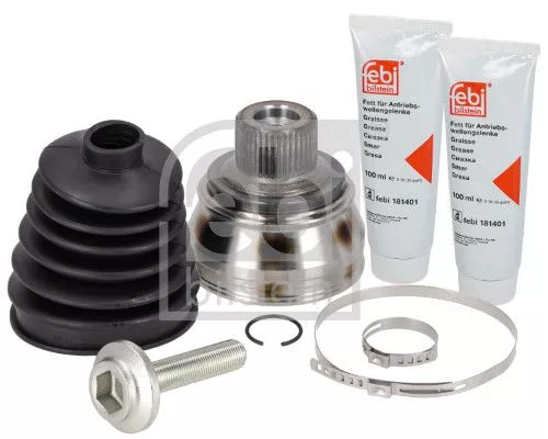 Homokineetset