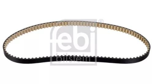 tandriem