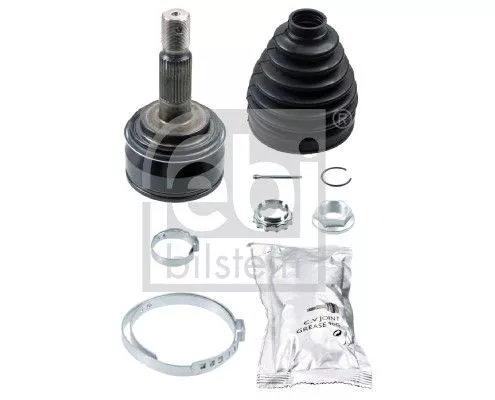 Homokineetset
