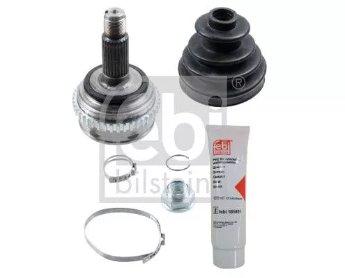 Homokineetset