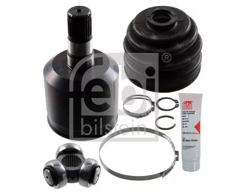 Homokineetset