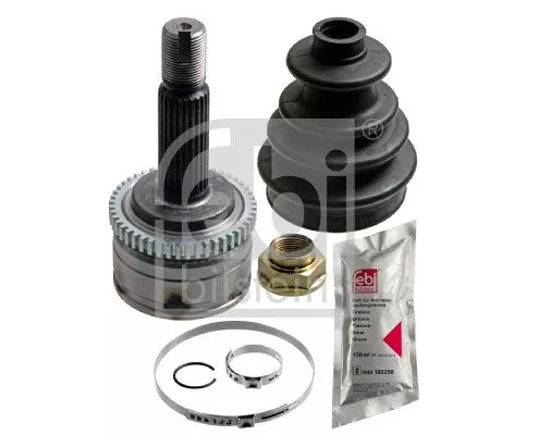 Homokineetset