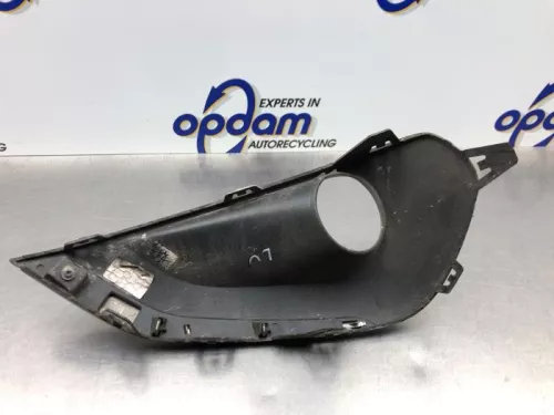 Afdekplaat mistlamp links-8210629 (21474256)