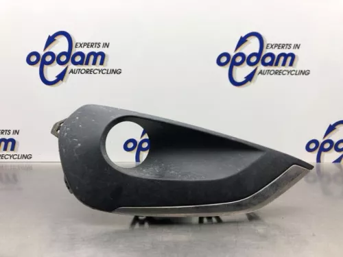 Afdekplaat mistlamp links-8210629 (21474256)
