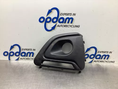 Afdekplaat mistlamp links-8031254 (19303341)