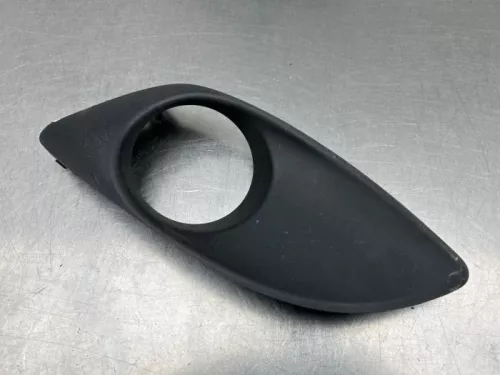 Afdekplaat mistlamp links-8277485 (22145480)