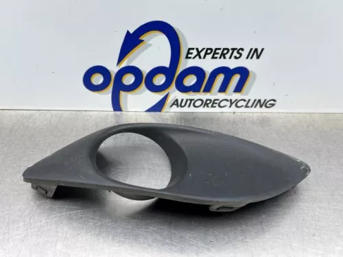 Afdekplaat mistlamp links-8277485 (22145480)