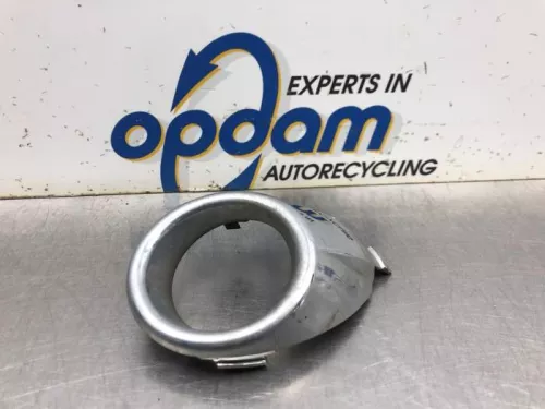 Afdekplaat mistlamp links-8162785 (20448483)