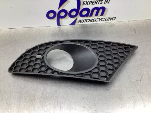 Afdekplaat mistlamp links-8254537 (21571061)