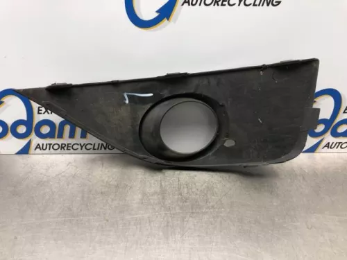 Afdekplaat mistlamp links-7841097 (17001547)